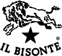 IL BISONTE